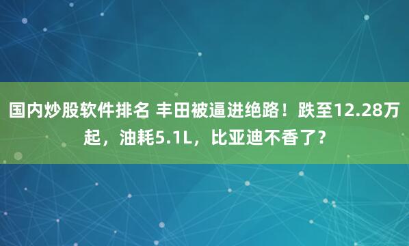 国内炒股软件排名 丰田被逼进绝路！跌至12.28万起，油耗5.1L，比亚迪不香了？