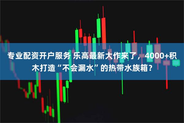 专业配资开户服务 乐高最新大作来了，4000+积木打造“不会漏水”的热带水族箱？