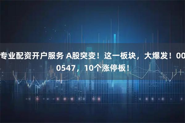 专业配资开户服务 A股突变！这一板块，大爆发！000547，10个涨停板！