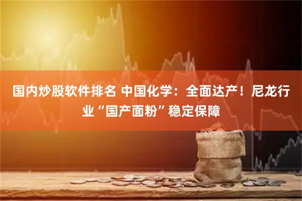 国内炒股软件排名 中国化学：全面达产！尼龙行业“国产面粉”稳定保障